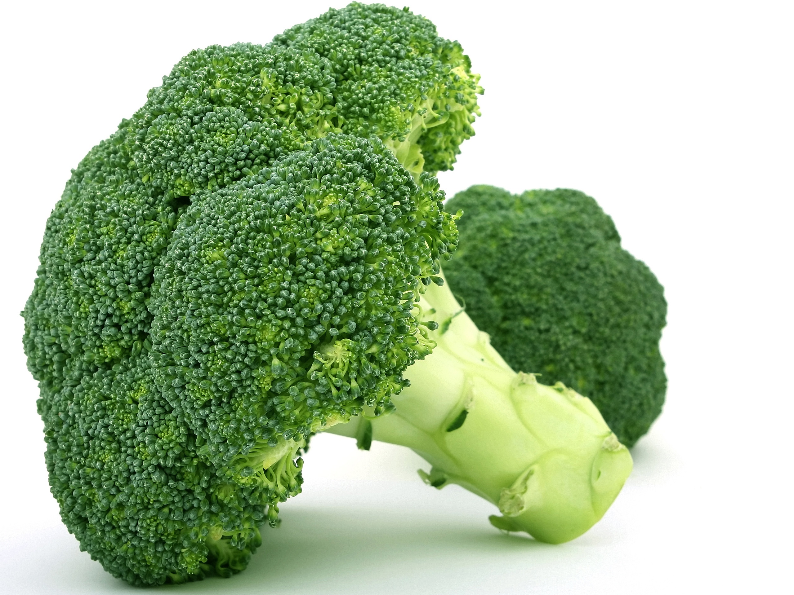 ガジェット系ブログにこだわらない事にした。いやするかも Broccoli-vegetables_2560x1920